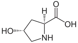 4-Hydroxy-L-proline