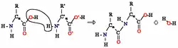formule chimique faisant ressortir les atomes d'oxygène en rouge alors que le reste du texte est en noir sur fond blanc montrant l'extraction de H2O