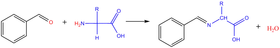 Réaction d'un acide aminé avec un aldéhyde aromatique.