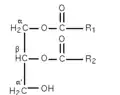 Fig 4 : α,β-diglycéride.