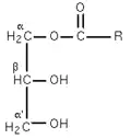 Fig 2 : α-monoglycéride.