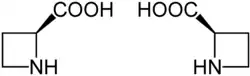 Acide azétidine-2-carboxylique