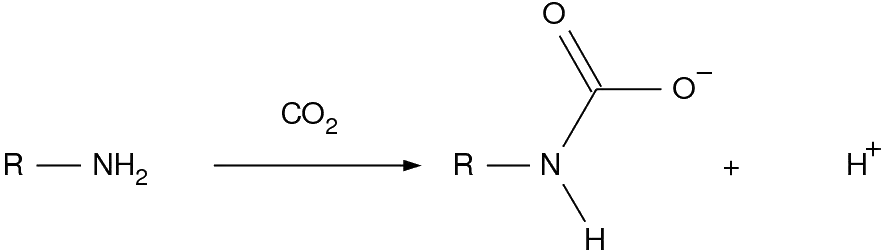 Chemin réactionnel du carbabate