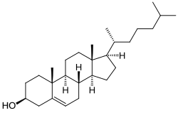 Un stérol: le cholestérol