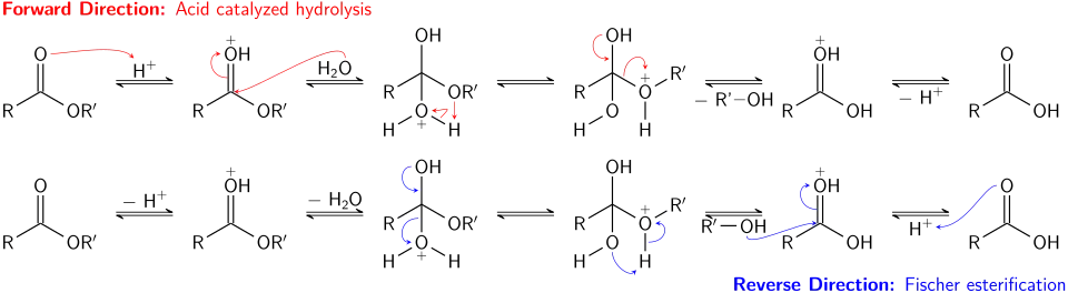 Hydrolyse acide d'un ester et estérification Fischer, deux réactions inverses correspondant à un équilibre chimique.