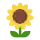 icône décorative