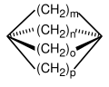 paddlane