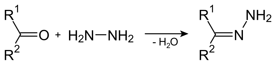 Réaction de l'hydrazine sur un composé carbonylé pour former une hydrazone