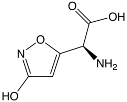Acide iboténique