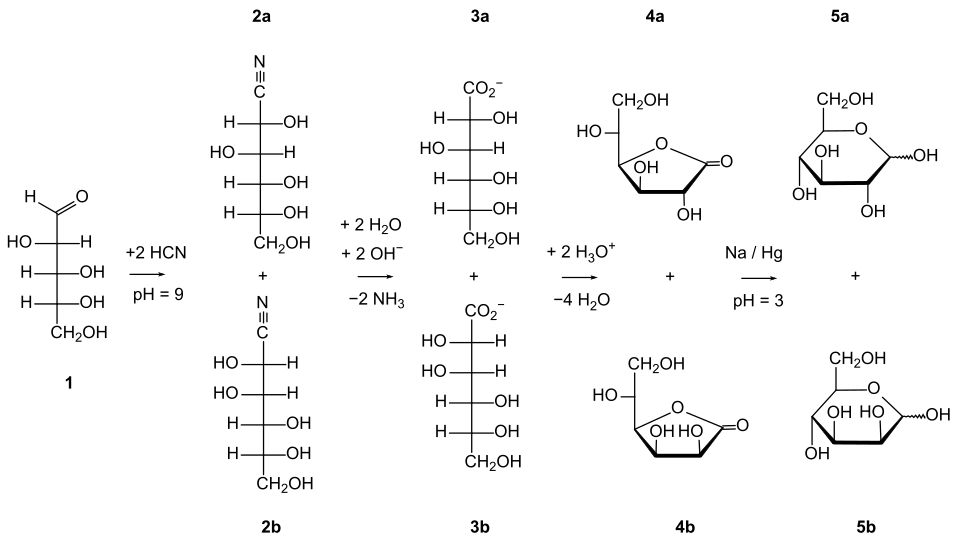 klassische Kiliani-Fischer-Synthese