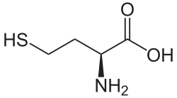 L-Homocystéine