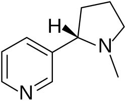 Structure moléculaire de la nicotine