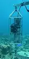 (AOML) in situ taux de CO2 / sensor (SAMI-CO2) (étude coraux / NOAA)