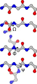 Figure 4 : Angle dièdre de l'ossature d'une protéine.
