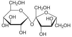 Saccharose.