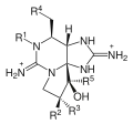 Structure moléculaire générale des saxitoxines