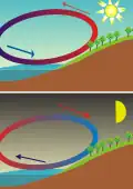 La brise de mer, créée par la différence des températures de l'air, la terre et la mer, s'inverse entre le jour et la nuit.