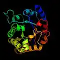 Isomérase de triose phosphate (enzyme).