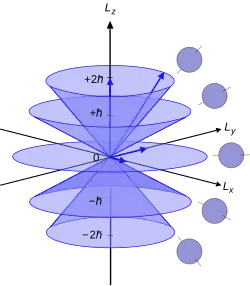 Modèle vectoriel du nombre mℓ pour le nombre quantique azimutal ℓ = 2.