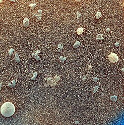 Gros plan sur le sol du cratère Eagle montrant des sphérules plus ou moins régulières sur fond de poussière fine. Le plus gros grain a un diamètre de 3 mm, tandis que l'image elle-même couvre une surface de 3 cm de côté.