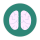icône décorative