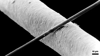 Une fibre de carbone de 6 µm de diamètresur un cheveu humain de 50 µm.