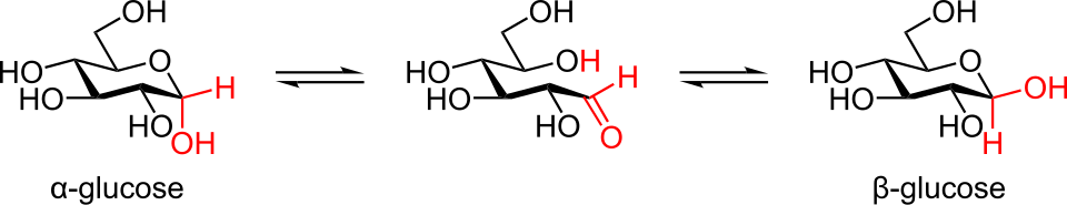 Mutarotation du glucose en solution entre anomères α et β.