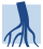 icône décorative