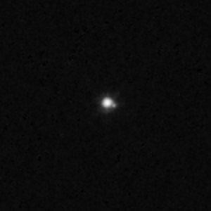 Image illustrative de l’article Gǃòʼé ǃHú