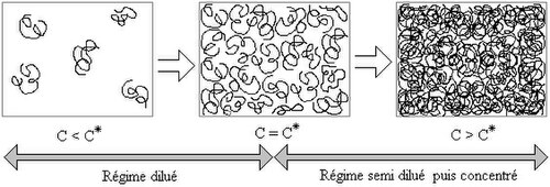 alternative textuelle