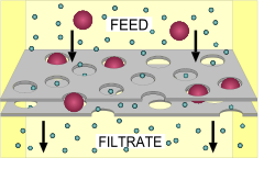 Diagramme de filtration simple : les particules les plus grosses du « flux » ne peuvent pas traverser le réseau.
