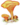 icône décorative