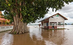 Une maison et un arbre sont entourés d'une eau boueuse, le sol n'est plus visible.