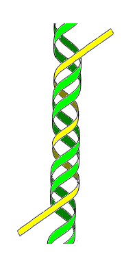 ADN H ou triplex(3e brin en jaune)