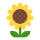 icône décorative