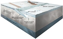 Morceau représenté en coupe de la surface. Des morceaux de croûte plongent par subduction.