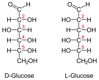 Projection de Fischer des deux énantiomères du glucose.
