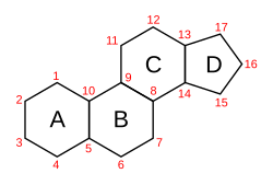 Nomenclature du stérane