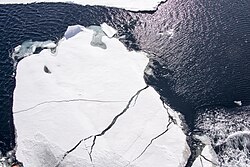 Photographie montrant de la glace de mer au pôle Nord.