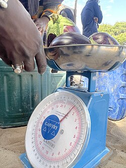 Balance à ressort à cadran Camry, balance commerciale populaire en Afrique