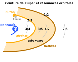 Titre : « Ceinture de Kuiper et résonances orbitales ». Neptune est indiquée puis des arcs concentriques s'éloigne de celle-ci, avec successivement la résonance 3:4, la 2:3 (plutinos dont Pluton), la 3:5, la 4:7, la 1:2 (twotinos) puis 2:5.