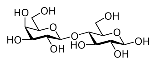 Lactose.Gal(β1→4)Glc