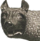 icône décorative