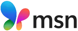 Logo actuel de MSN depuis le 1er novembre 2024.