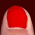 Photo d'un ongle vernis en gros plan