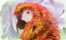 peinture digitale couleur montrant un ara avec des plumes rouges et orange principalement