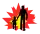icône décorative