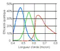 CCD interligne + micro-lentilles