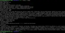 Description de l'image Clang 21.1.7 version and compile information screenshot.webp.