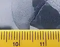 Détail de l'affichage d'une photo.